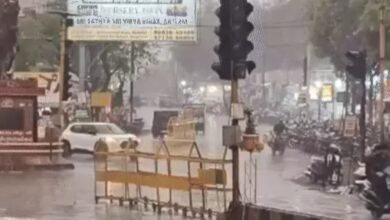 Weather Takes a Turn in North India: 3-Day Rain Alert for UP, MP, and Rajasthan