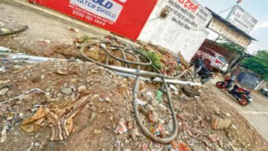 Negligence in ₹5 Crore Smart Wiring Project: Due to a lack of maintenance, cables have surfaced on the road within just two years.