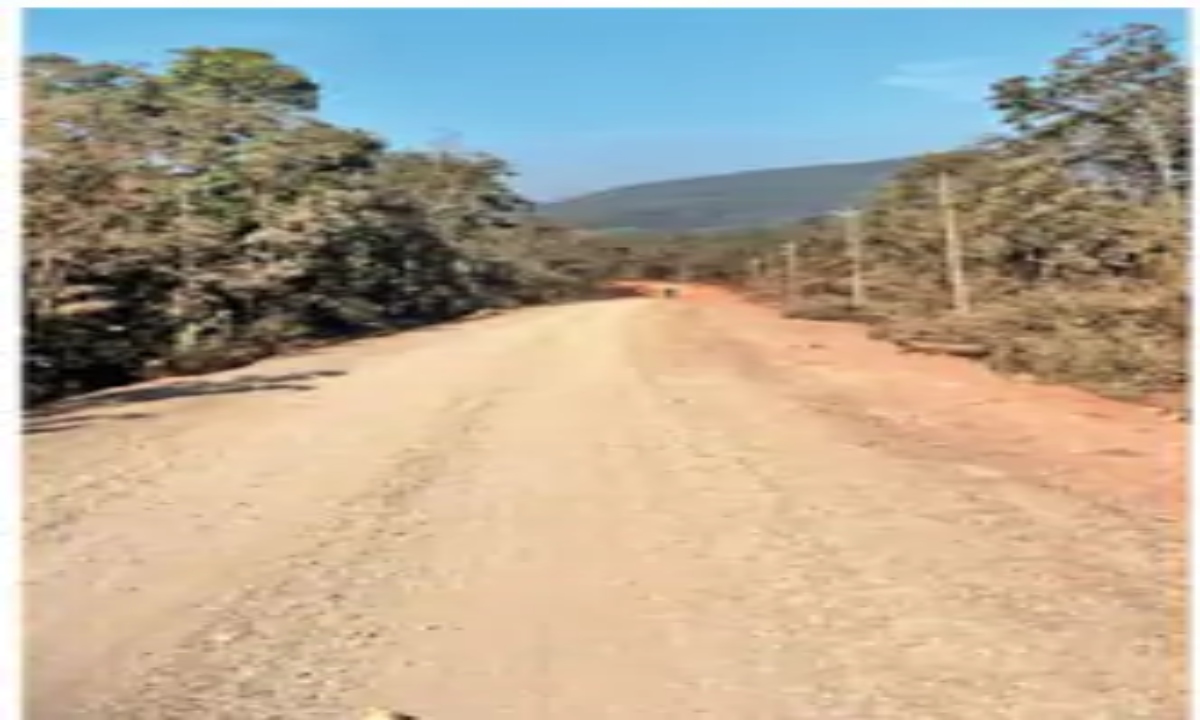 A road is being constructed in Abujhmad for the first time, and villagers are returning following the elimination of Naxals.