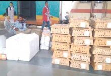 Panic in Bilaspur Amid Bird Flu Scare: Consignment of Chicks Arrives by Train; Questions Raised Over Administration's Role