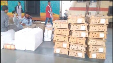 Panic in Bilaspur Amid Bird Flu Scare: Consignment of Chicks Arrives by Train; Questions Raised Over Administration's Role