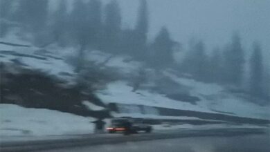 Hail accompanied by rain falls in 5 states, including MP and Rajasthan; Snowfall in Himachal Pradesh and Dras (Ladakh).