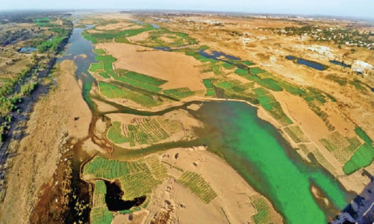 Tribunal Takes Tough Stance on Mahanadi Dispute: Seeks New Report from Chhattisgarh and Odisha Within 10 Days