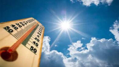 Heatwave Alert for Central Chhattisgarh: Heat to Intensify Over the Next 5 Days; Warning Issued for Warm Nights, Dust Storms, and Rain