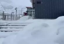 Weather alert in 11 states: Hailstorm in MP-Rajasthan