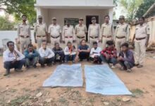 9 Accused Arrested with 2 Leopard Skins; Interstate Gang Busted