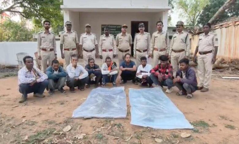 9 Accused Arrested with 2 Leopard Skins; Interstate Gang Busted