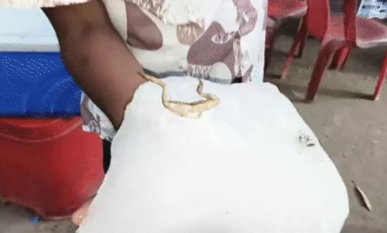 Dead Frog Found in Soda-Sugarcane Juice Ice: VIDEO Goes Viral; Calls for Action Against Factory