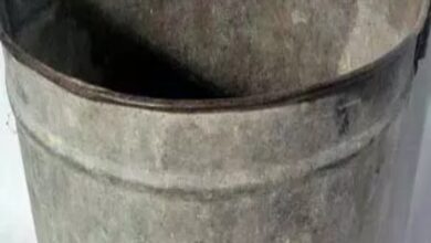 Body of Missing Infant Found in a Bucket 11-Month-Old Dies After Head Submerges in Water; Family Plunged into Mourning