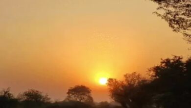 Weather to Change in Chhattisgarh: Storms to Subside; Mercury to Rise by Up to 4° in 3 Days