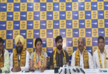 AAP Protests Against Census 2027: Demands Separate Column for OBCs, Alleges Neglect of Half the Population