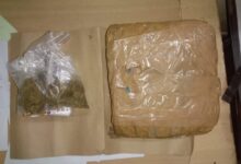 'OG Ganja' Worth ₹1 Crore/Kg Seized in Raipur