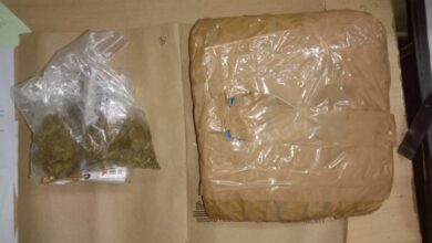 'OG Ganja' Worth ₹1 Crore/Kg Seized in Raipur