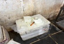 Food Department Raids Paneer Factory in Raipur