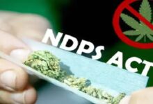 Two Accused Sentenced to 20 Years Each for Cannabis Trafficking