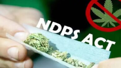 Two Accused Sentenced to 20 Years Each for Cannabis Trafficking