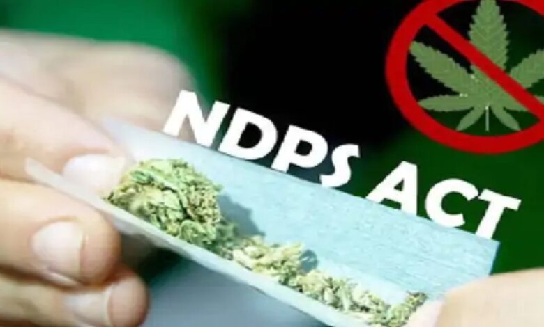 Two Accused Sentenced to 20 Years Each for Cannabis Trafficking