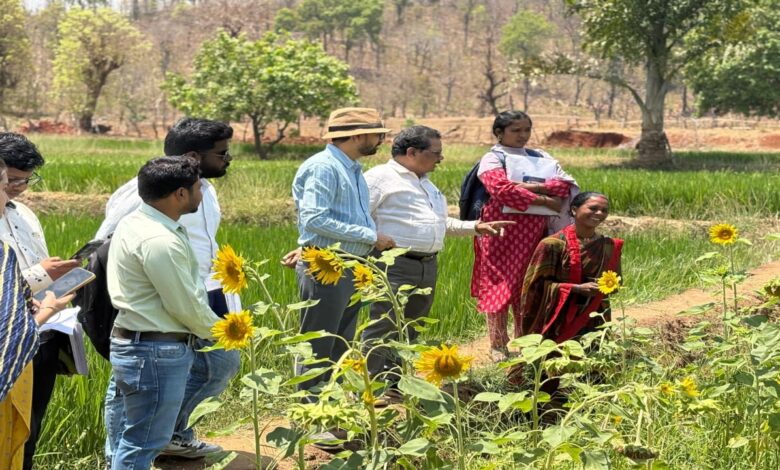The Changing Landscape, Courtesy of “Didi’s Courtyard”