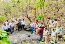 Major Crackdown on Illegal Coal Mining in Devkhol: Over 6 Tons of Coal Seized, Tunnels Demolished