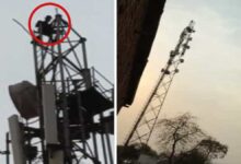 Youth Upset Over Police Action Climbs Mobile Tower; Village Thrown into Chaos