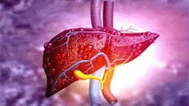 World Liver Day: The Threat Is Rising Due to Poor Lifestyle—Not Just Alcohol, But Junk Food Is Also to Blame.