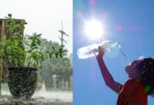 Rain Warning Amidst Heatwave Alert: Strong Winds