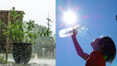 Rain Warning Amidst Heatwave Alert: Strong Winds