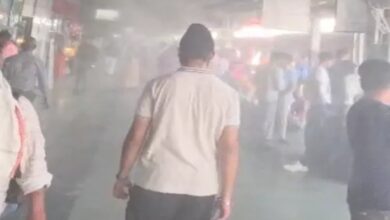 'Warm Night' Alert in 9 Cities of MP; Severe Heatwave Across the Country; Prayagraj Hits 44.6°C