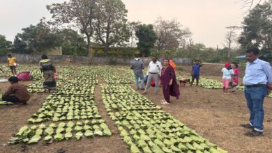 A Major Step Towards Boosting the Income of 'Green Gold' Collectors: Estimated Payout of ₹920 Crore