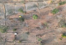 Major Revelation from IT and Drone Surveys: 106 Hectares Encroached Upon in Tiger Reserve