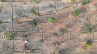 Major Revelation from IT and Drone Surveys: 106 Hectares Encroached Upon in Tiger Reserve