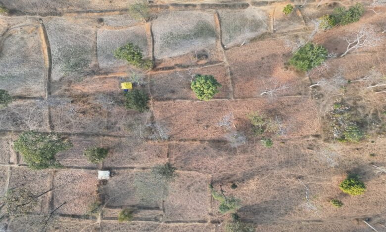 Major Revelation from IT and Drone Surveys: 106 Hectares Encroached Upon in Tiger Reserve