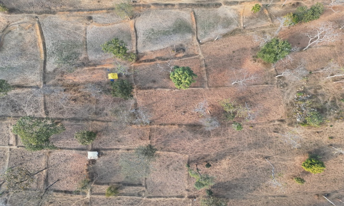 Major Revelation from IT and Drone Surveys: 106 Hectares Encroached Upon in Tiger Reserve