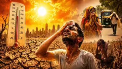 Severe Heat in Chhattisgarh: Heatwave Alert for the Next 2-3 Days
