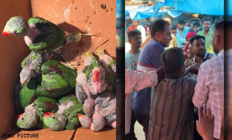 Team Sent to Stop Parrot Smuggling Attacked: Ranger Tied to a Pole and Beaten; FIR Filed Under Several Grave Sections