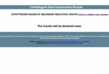 CG Board Class 10 & 12 Results Released: CM Sai Extends Congratulations; Girls Deliver Another Stellar Performance