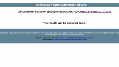 CG Board Class 10 & 12 Results Released: CM Sai Extends Congratulations; Girls Deliver Another Stellar Performance