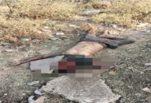 Ruthlessness Over ₹2,400: Youth Murdered by Crushing His Head with a Stone; Mother Burns the Evidence