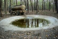 Barnawapara Becomes a Lifesaver Amidst Scorching Heat: ‘Smart Water Management Model’ Developed for Wildlife