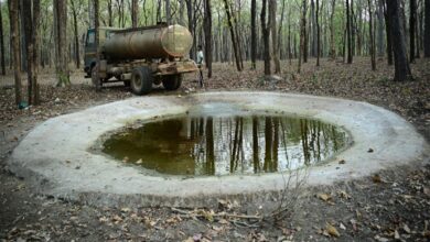 Barnawapara Becomes a Lifesaver Amidst Scorching Heat: ‘Smart Water Management Model’ Developed for Wildlife