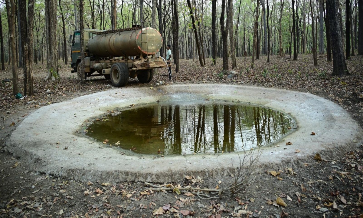 Barnawapara Becomes a Lifesaver Amidst Scorching Heat: ‘Smart Water Management Model’ Developed for Wildlife