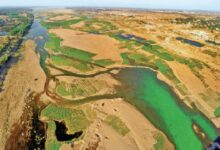 Tribunal Takes Tough Stance on Mahanadi Dispute: Seeks New Report from Chhattisgarh and Odisha Within 10 Days