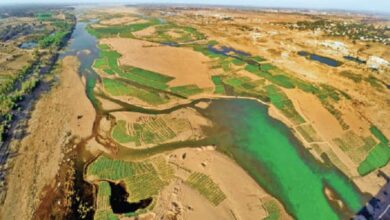 Tribunal Takes Tough Stance on Mahanadi Dispute: Seeks New Report from Chhattisgarh and Odisha Within 10 Days