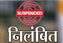 Failure to Act Against Illegal Timber Transport Proves Costly; Forest Guard Suspended