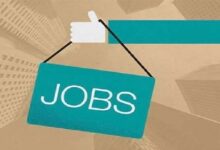 Recruitment for 297 Positions at Job Fair; Employment Opportunities for Youth