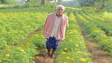 Switching from Paddy to Flower Cultivation Changes Anandram's Fortune: Earns ₹3 Lakhs Against an Investment of ₹22,000