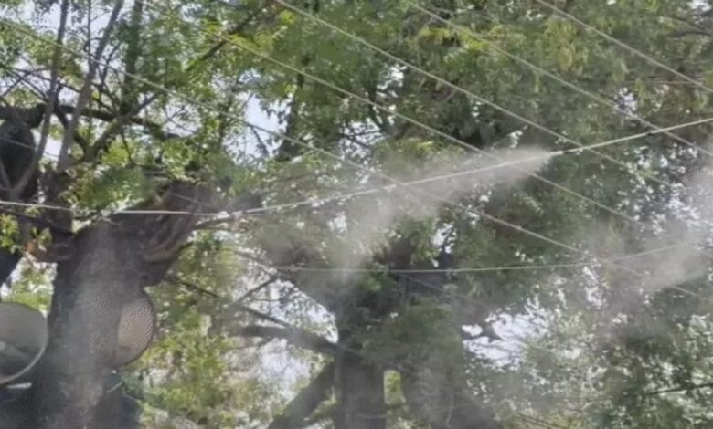 Weather changes across the country: 3 deaths in Rajasthan due to thunderstorms and rain, hailstorm in Uttar Pradesh; heatwave continues in many cities.
