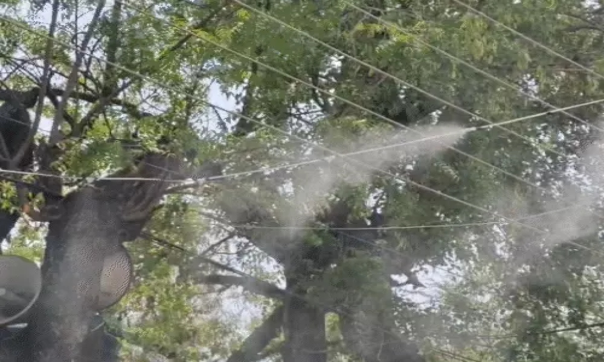 Weather changes across the country: 3 deaths in Rajasthan due to thunderstorms and rain, hailstorm in Uttar Pradesh; heatwave continues in many cities.