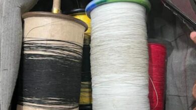 The Menace of Chinese Kite String: 5-Year-Old Child's Throat Slashed; Dies