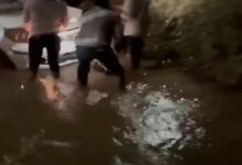 Tragic Accident in Kawardha: 4 Youths Die After Car Plunges into River; 2 Critically Injured
